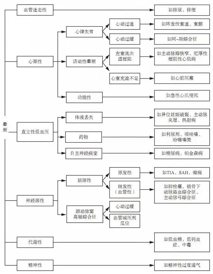 777778888王中王最新,探索数字背后的秘密，王中王最新与数字777778888的奥秘