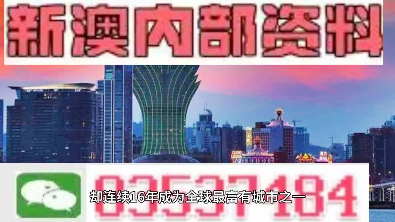 2024年新澳门王中王免费,探索新澳门王中王免费体验的独特魅力与未来展望（2024年）