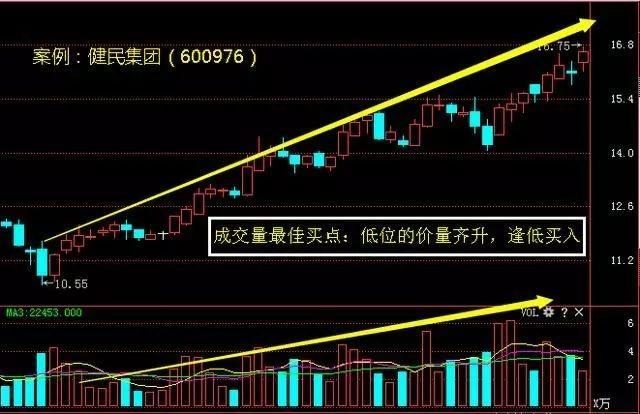 香港今晚开特马 开奖结果66期,香港今晚开特马，第66期开奖结果的期待与揭秘