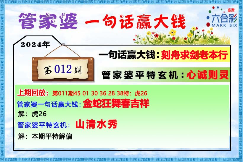 管家婆期期四肖四码中,管家婆期期四肖四码中的奥秘与探索