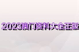 2025香港正版资料大全视频,香港正版资料大全视频，探索未来的趋势与价值